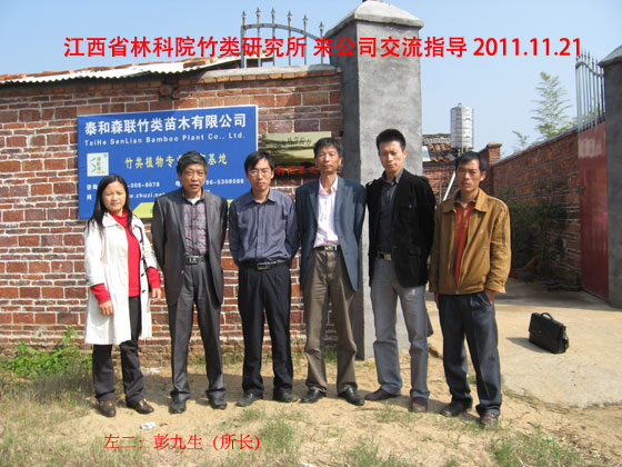 江西省林科院竹類研究所來公司交流指導