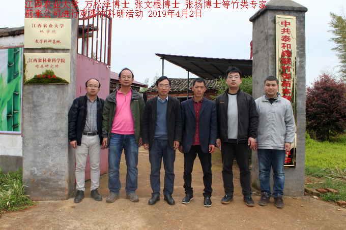 江西農業大學竹類專家前來公司進行觀賞竹科研活動
