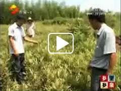 吉安電視臺對公司基地進(jìn)行報(bào)道